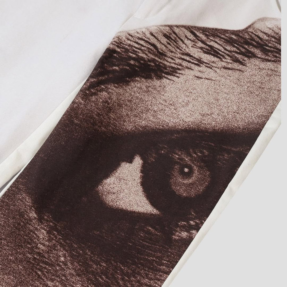 PERIPHERAL VISION PANTS